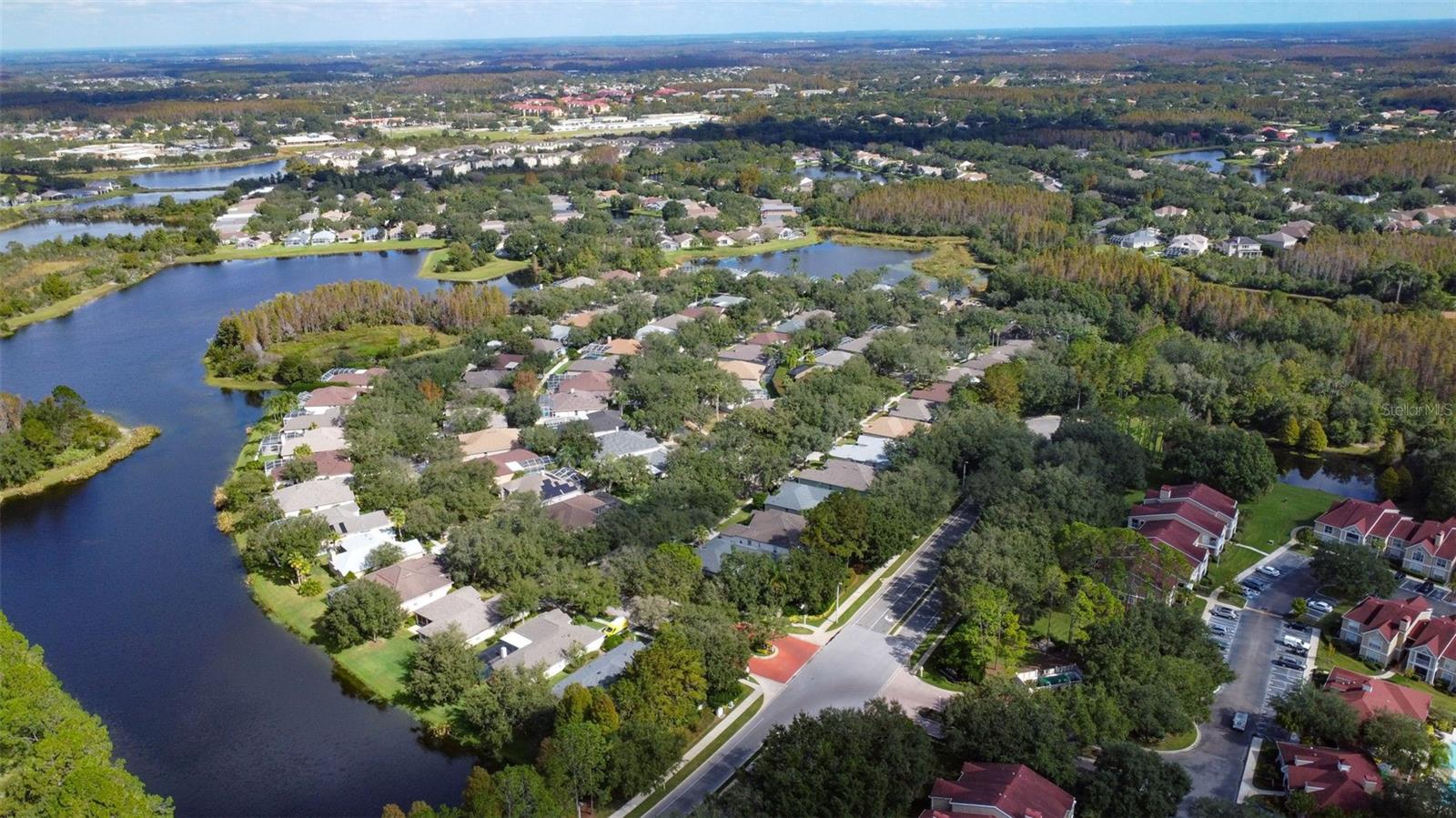 17721 NATHANS DR, TAMPA, FL, 33647