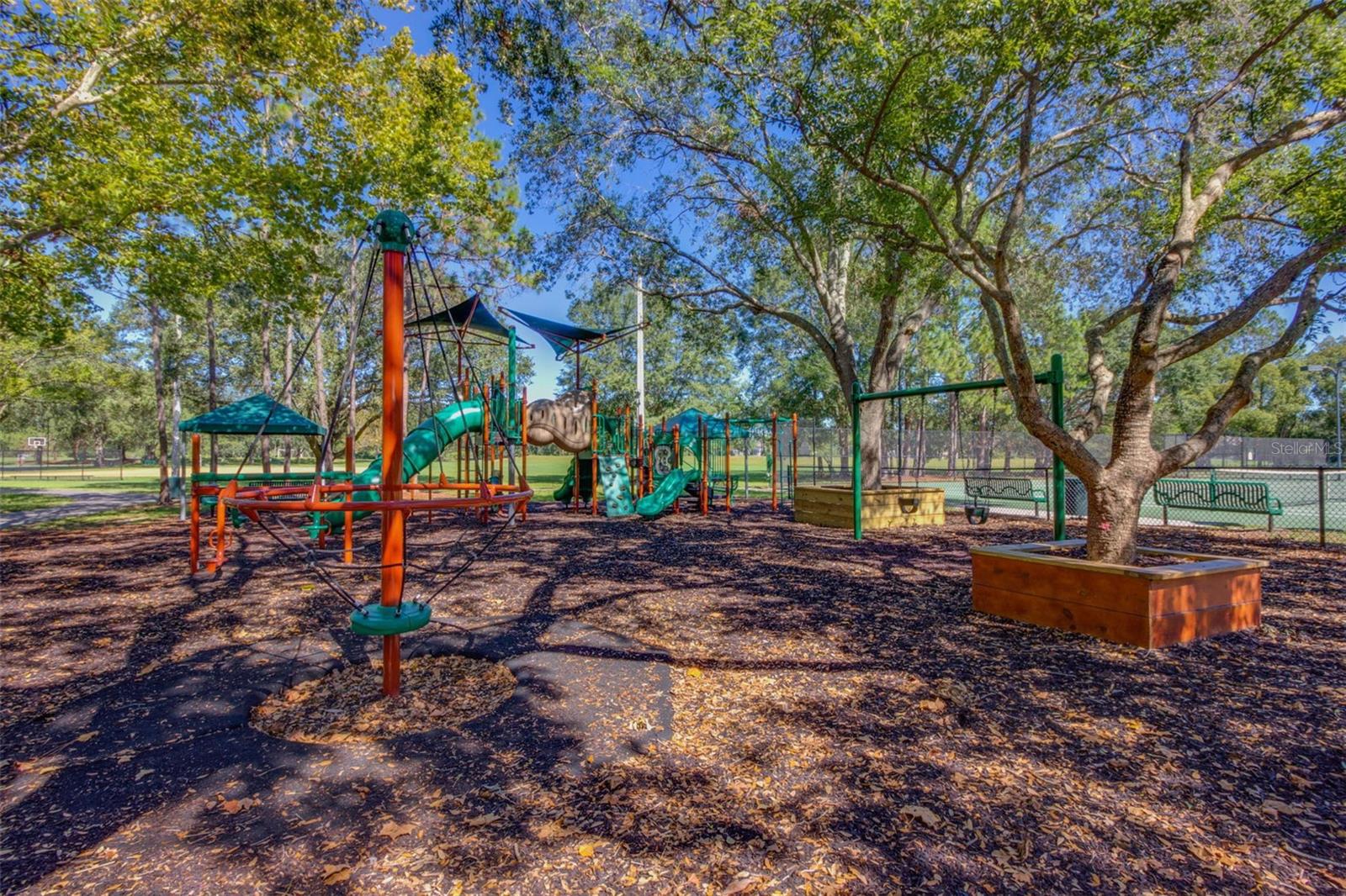 17721 NATHANS DR, TAMPA, FL, 33647