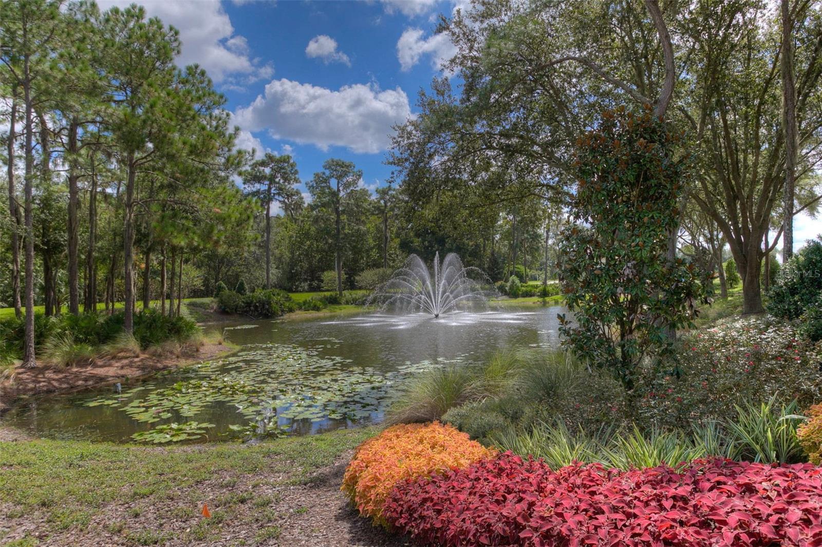 17721 NATHANS DR, TAMPA, FL, 33647