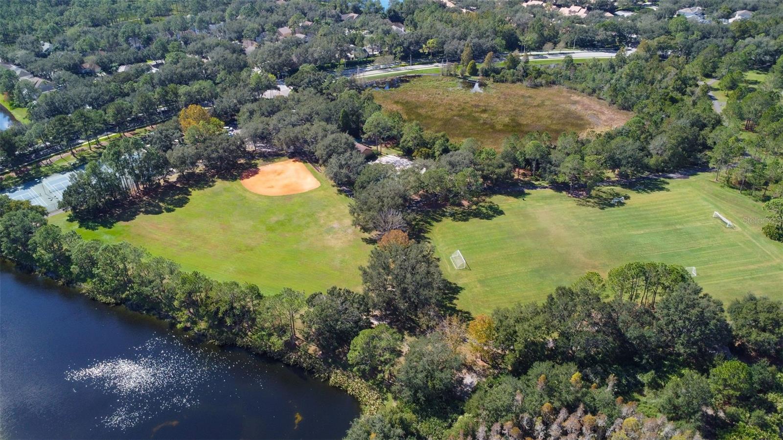 17721 NATHANS DR, TAMPA, FL, 33647