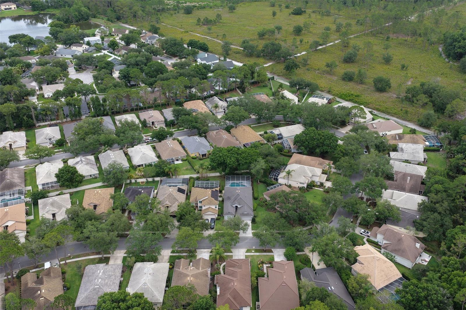 17721 NATHANS DR, TAMPA, FL, 33647