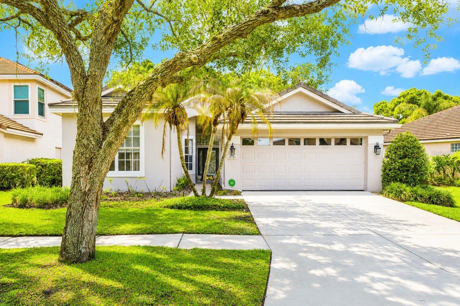 17721 NATHANS DR, TAMPA, FL, 33647