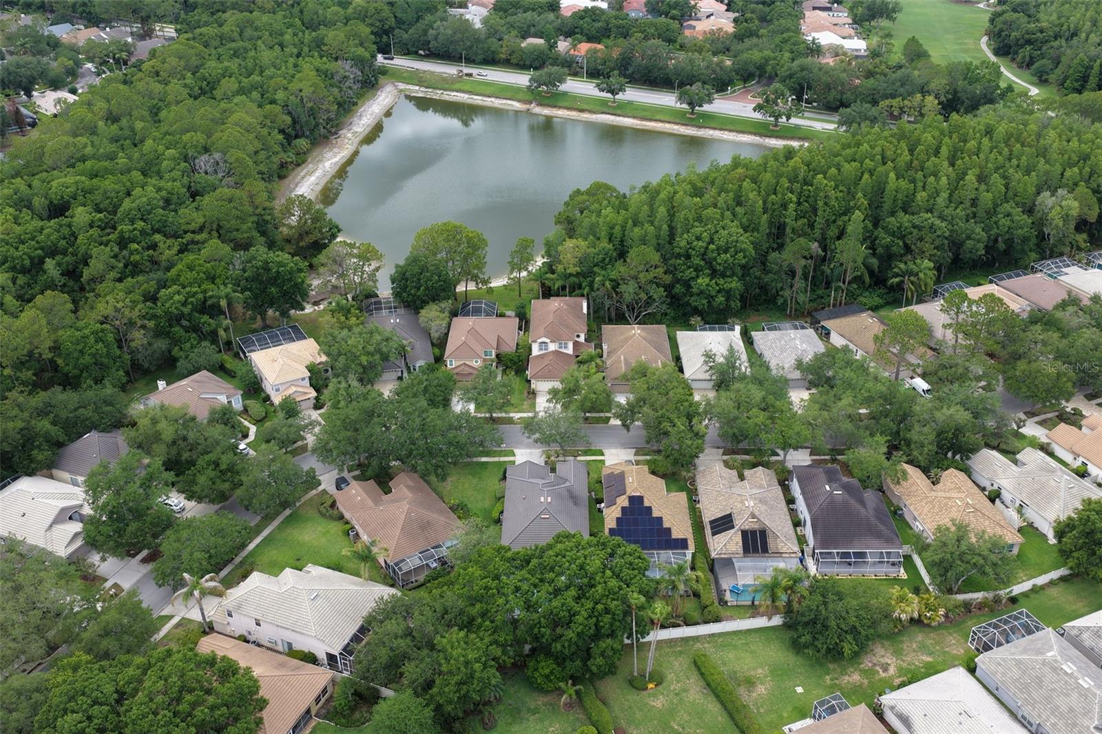 17721 NATHANS DR, TAMPA, FL, 33647