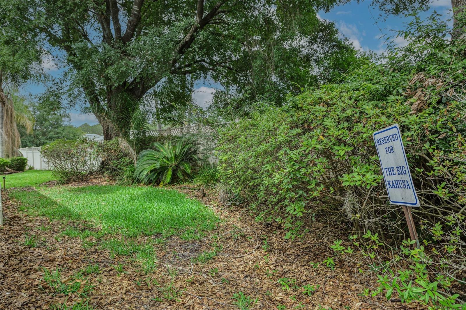 17721 NATHANS DR, TAMPA, FL, 33647