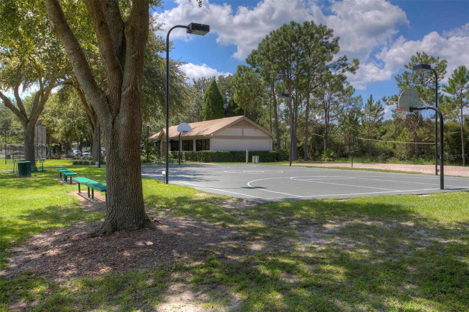 17721 NATHANS DR, TAMPA, FL, 33647