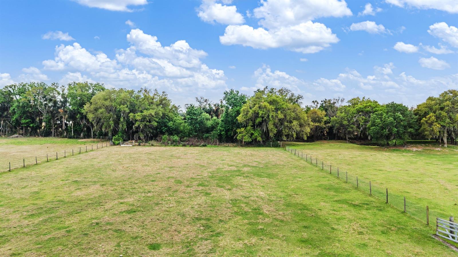 2101 LANIER RD, PLANT CITY, FL, 33565