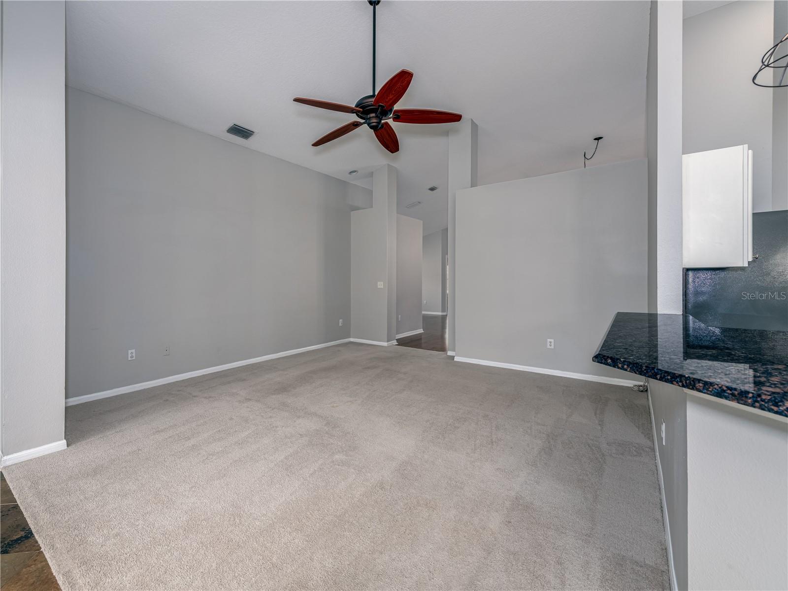 10333 ABBOTSFORD DR, TAMPA, FL, 33626