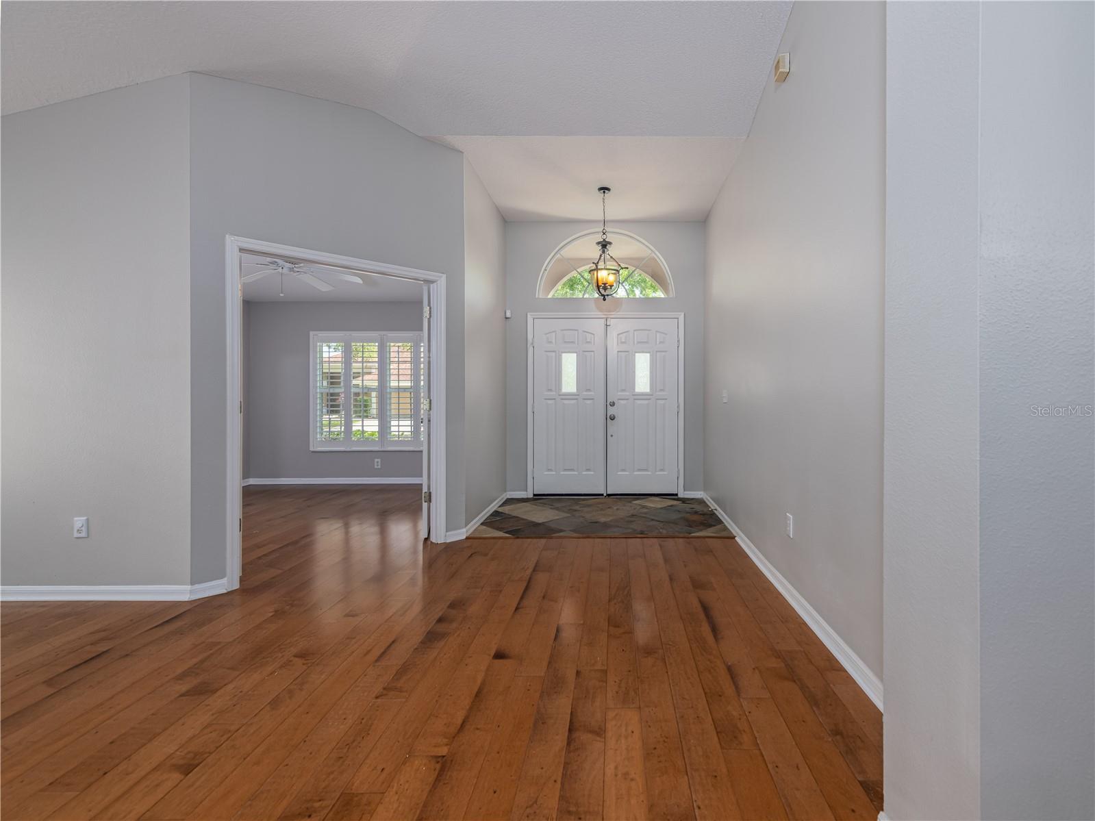 10333 ABBOTSFORD DR, TAMPA, FL, 33626