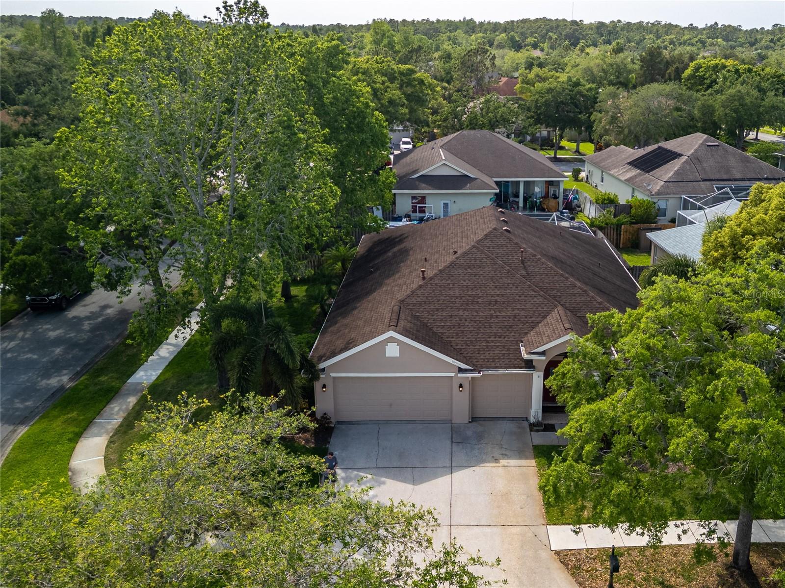 10333 ABBOTSFORD DR, TAMPA, FL, 33626