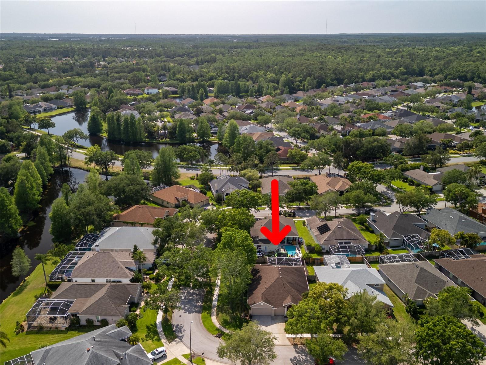 10333 ABBOTSFORD DR, TAMPA, FL, 33626