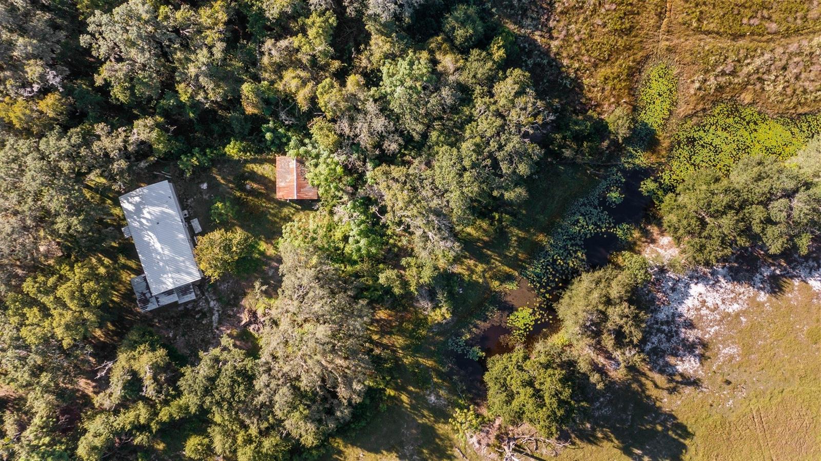 23158 LOOP RD, GROVELAND, FL, 34736