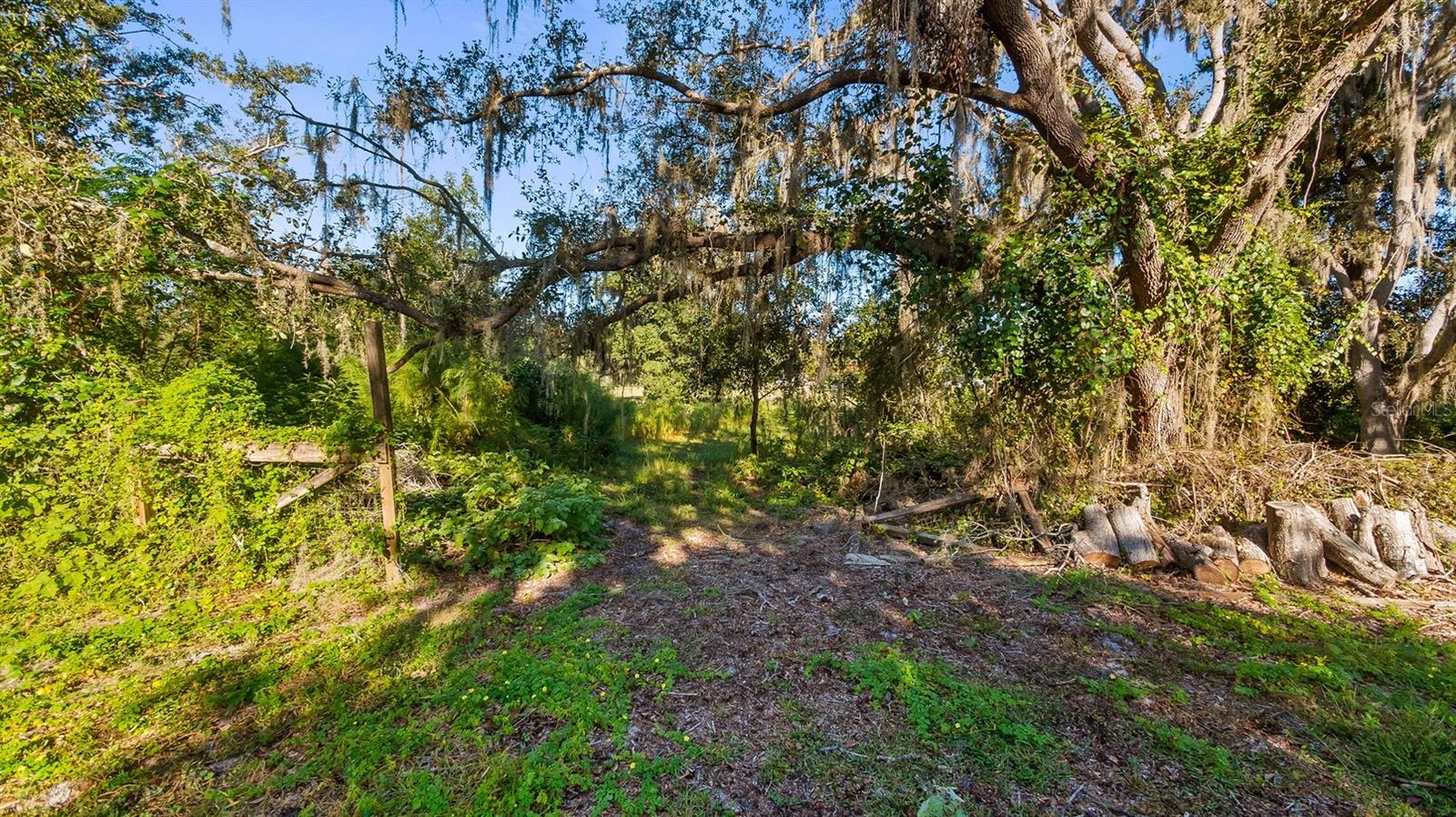 23158 LOOP RD, GROVELAND, FL, 34736