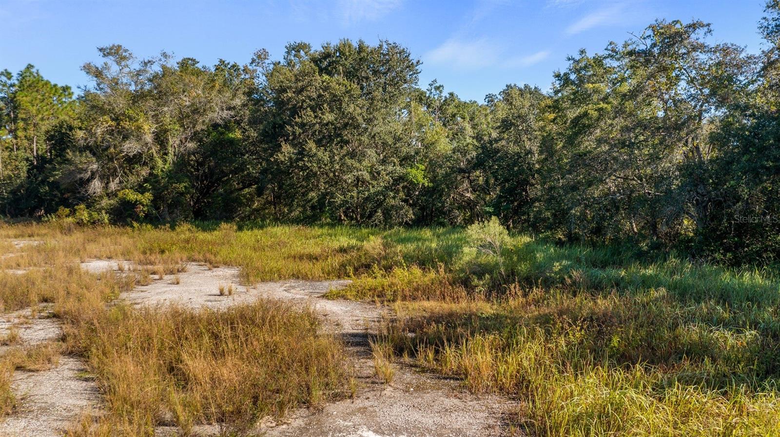 23158 LOOP RD, GROVELAND, FL, 34736