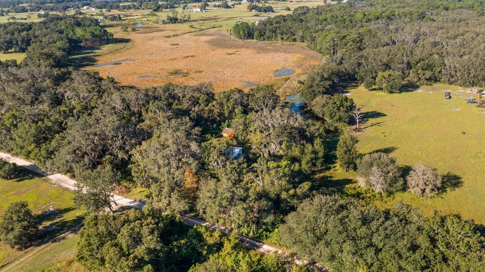 23158 LOOP RD, GROVELAND, FL, 34736