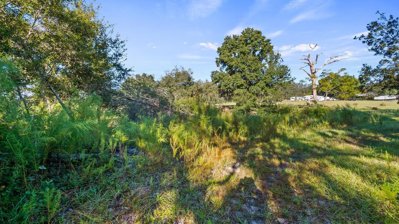 23158 LOOP RD, GROVELAND, FL, 34736