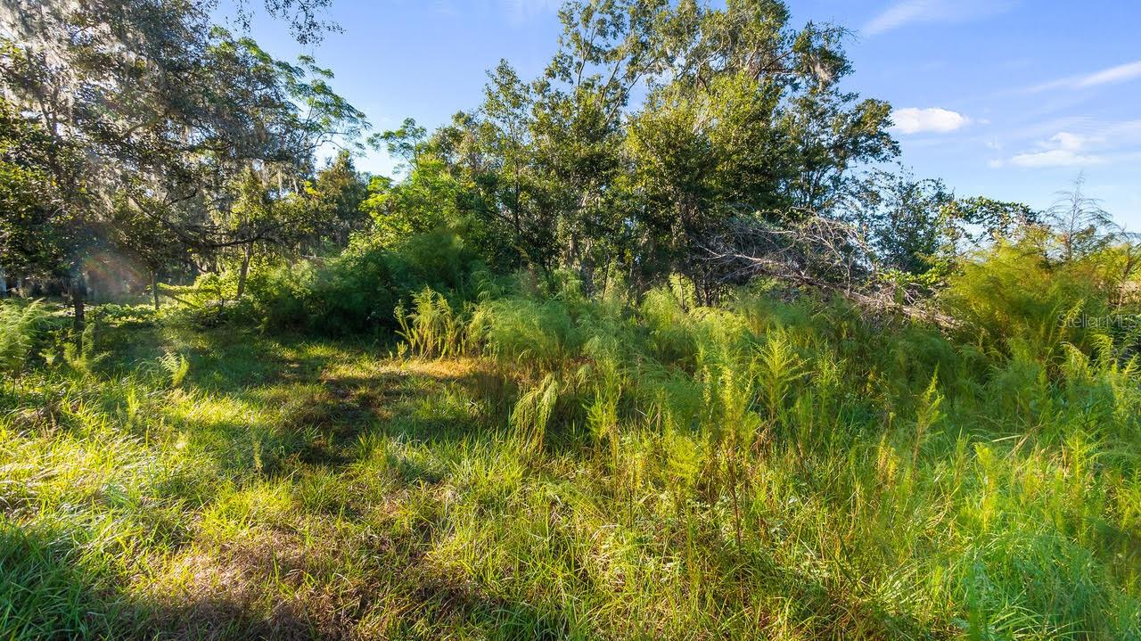23158 LOOP RD, GROVELAND, FL, 34736