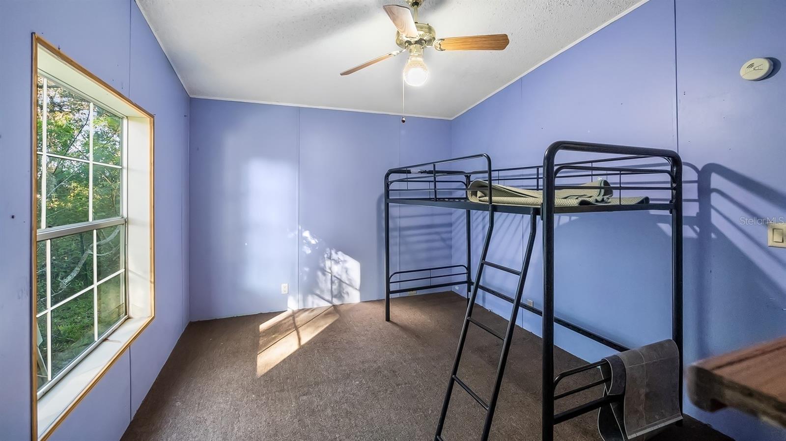 23158 LOOP RD, GROVELAND, FL, 34736