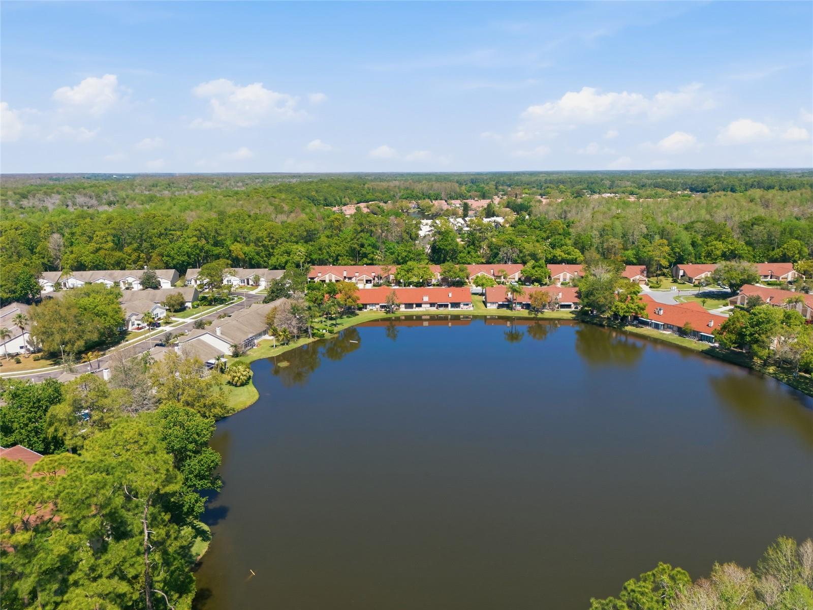 3962 MERMOOR DR, PALM HARBOR, FL, 34685