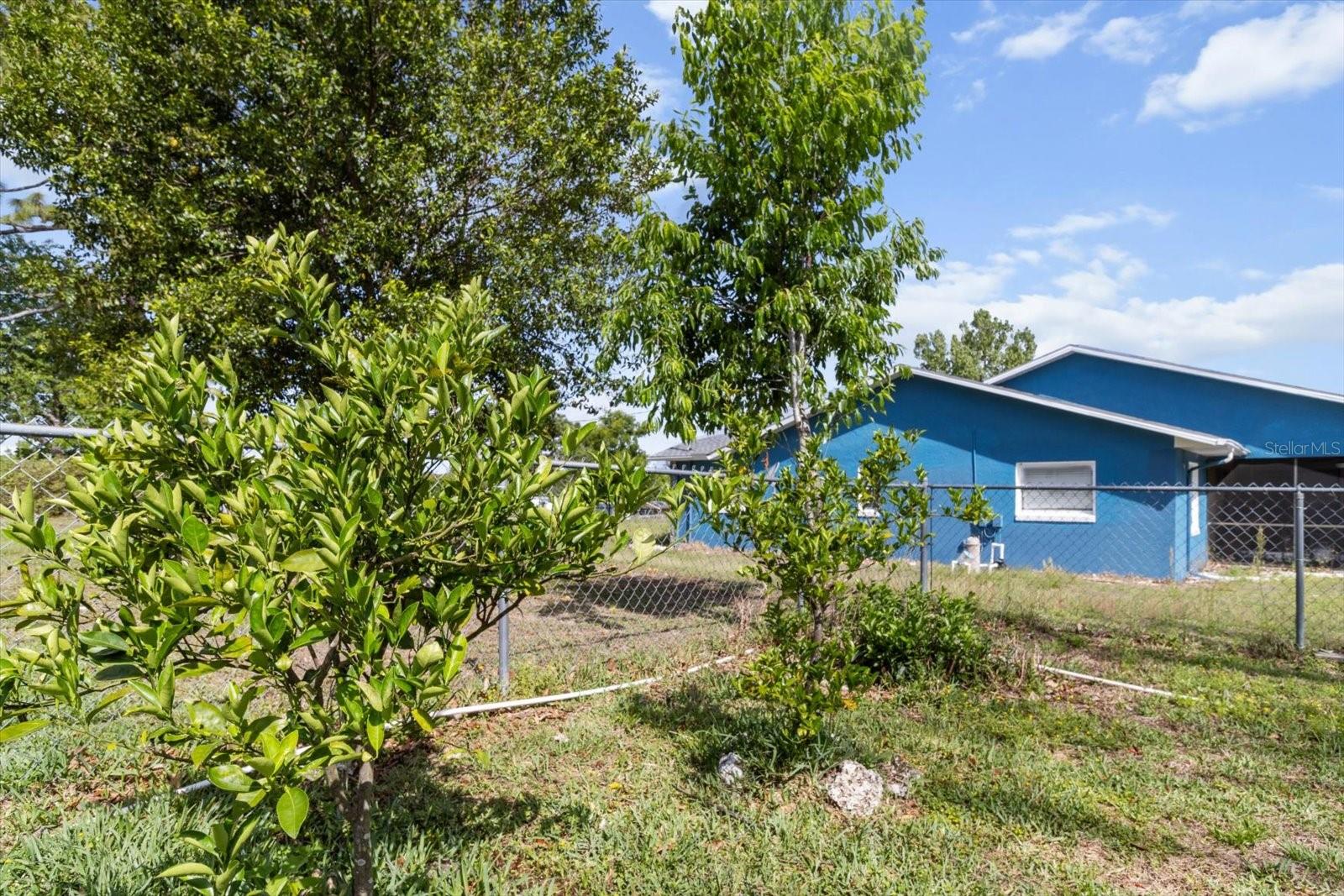 8921 S THOROUGHBRED PT, INVERNESS, FL, 34452