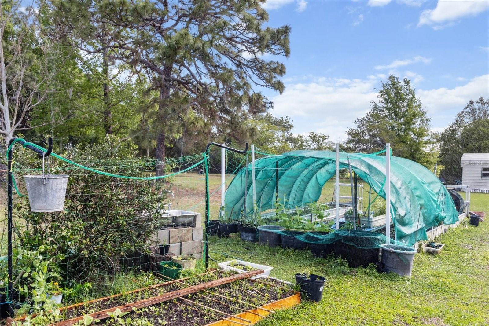 8921 S THOROUGHBRED PT, INVERNESS, FL, 34452