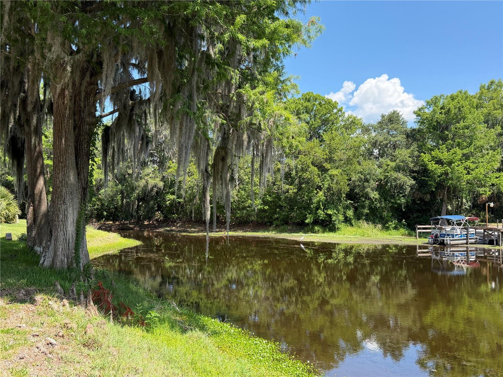 1300 CYPRESS COVE CT, INVERNESS, FL, 34450