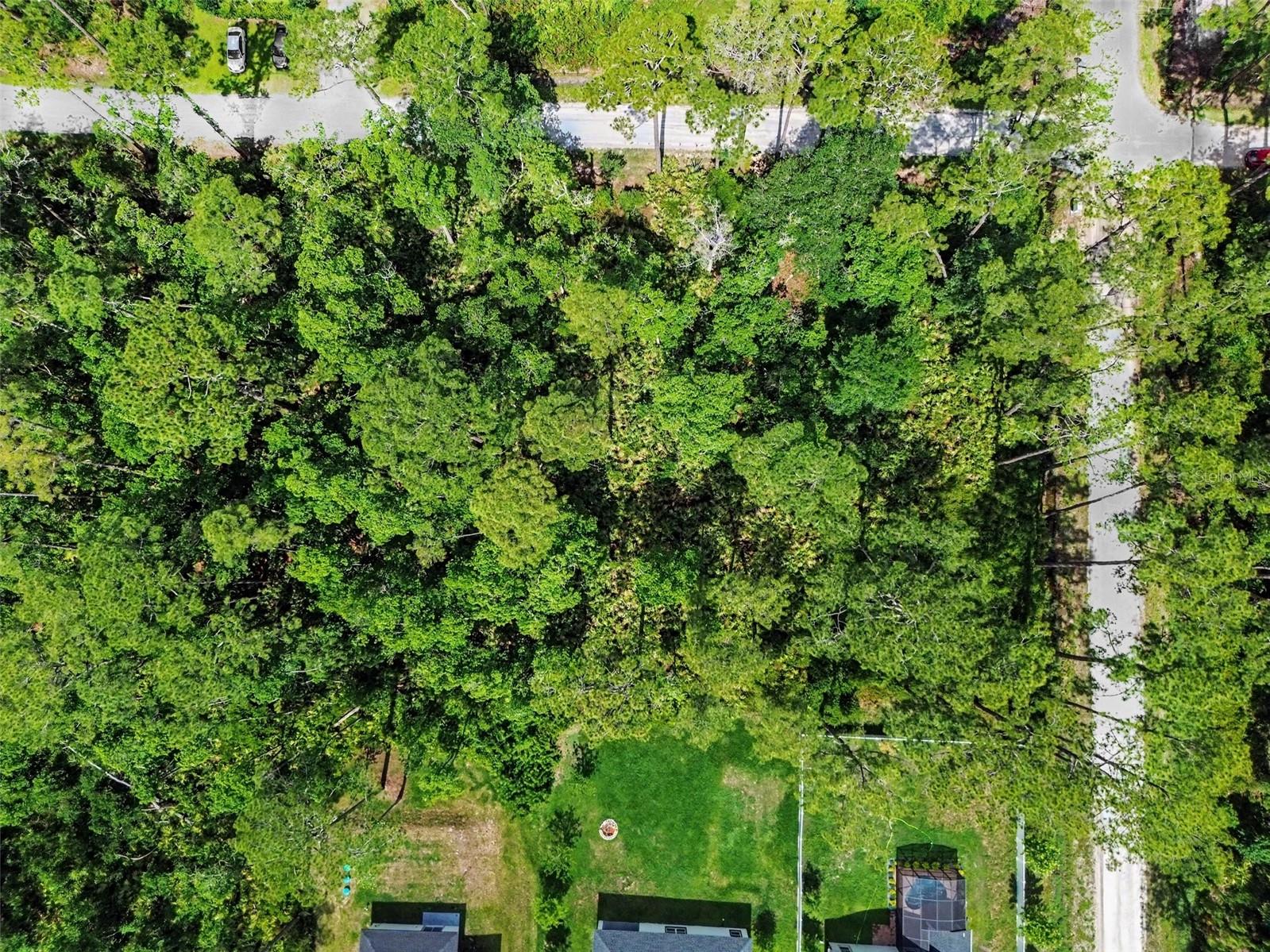 1465 EAST PKWY, DELAND, FL, 32724