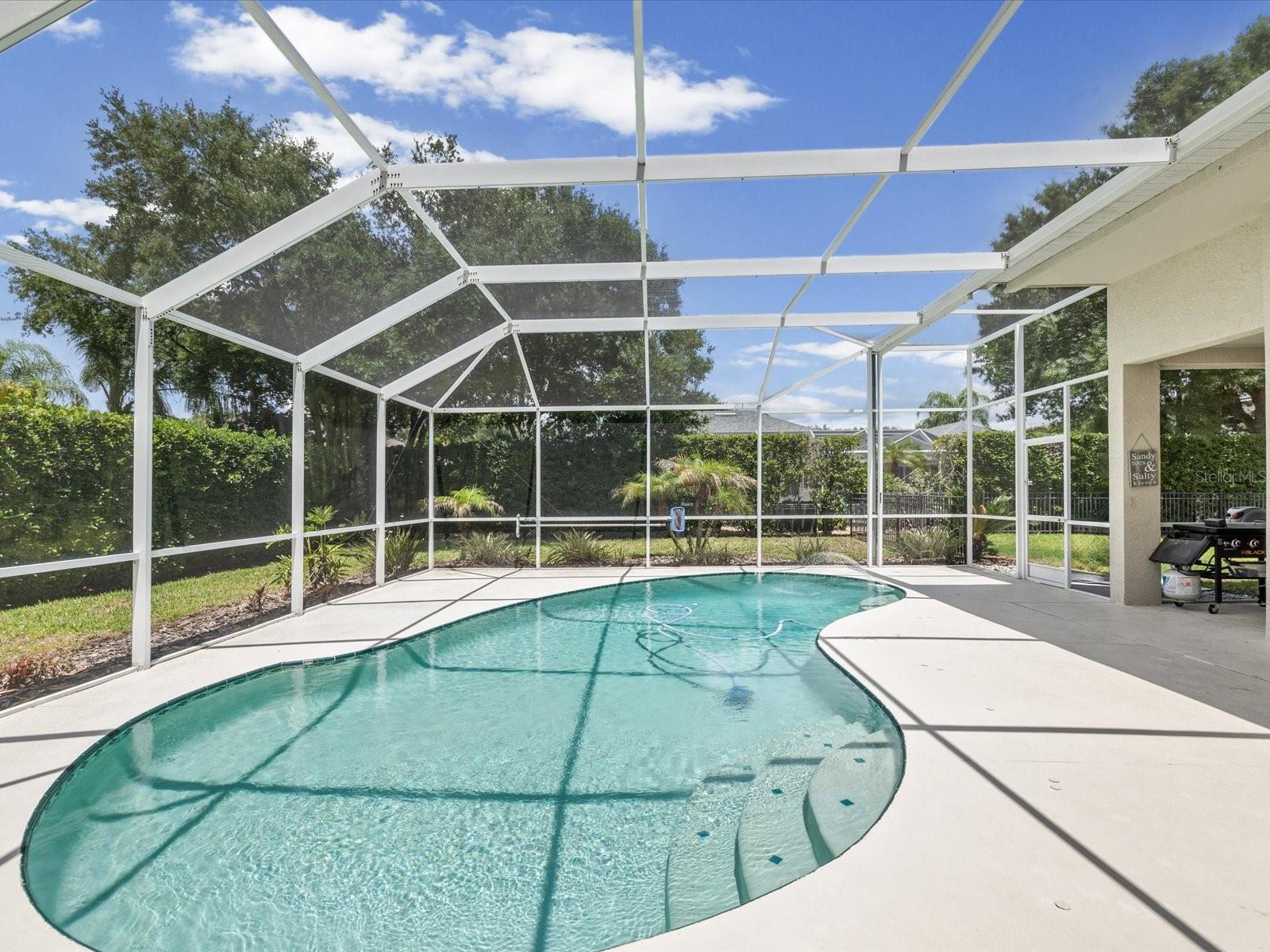 19119 LARCHMONT DR, ODESSA, FL, 33556