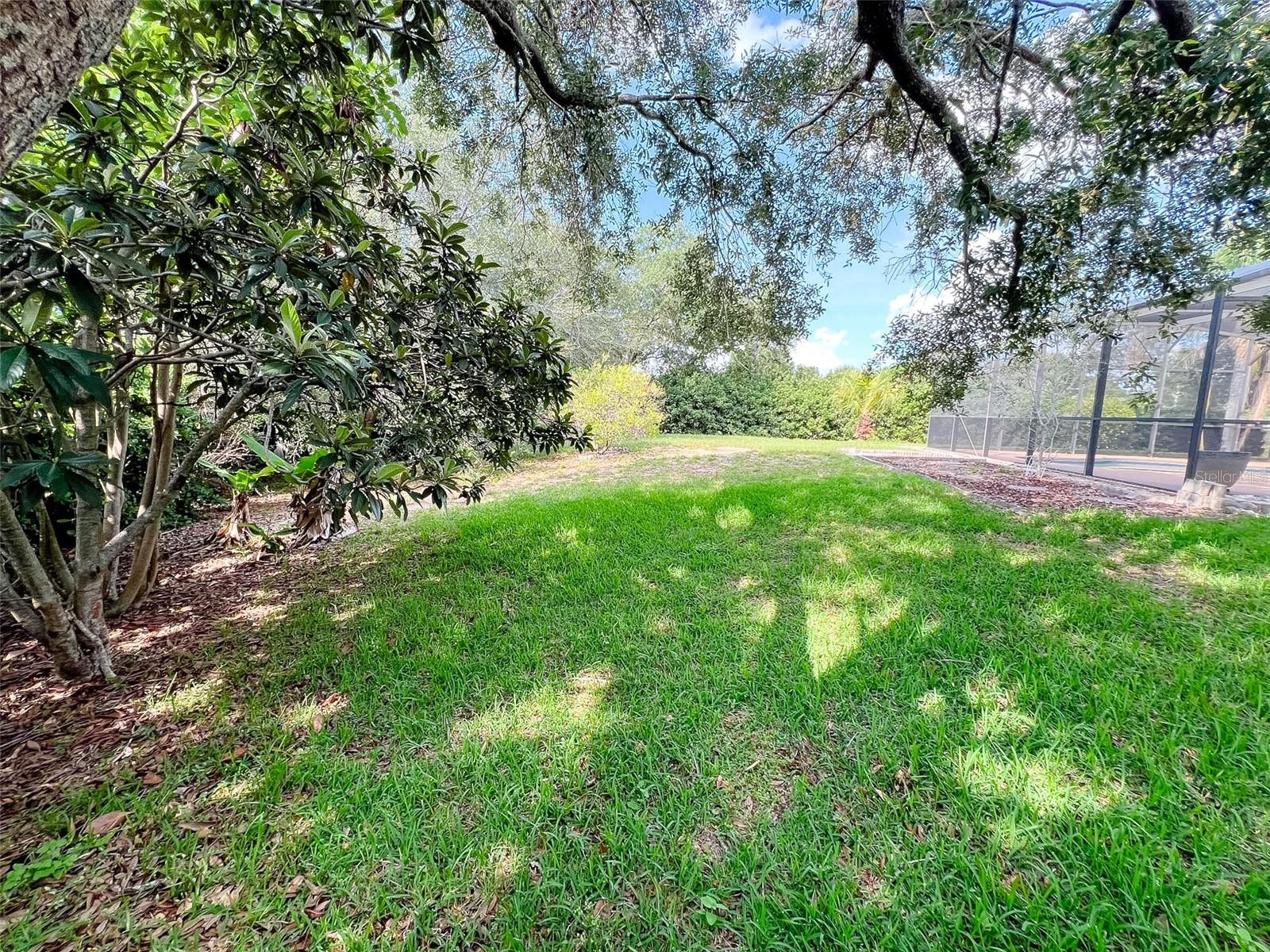 12626 DOUGLAS FIR CT, CLERMONT, FL, 34711