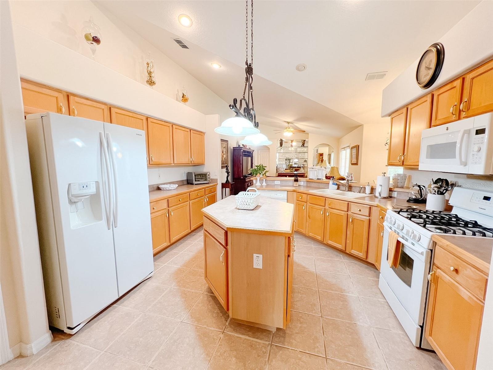 12626 DOUGLAS FIR CT, CLERMONT, FL, 34711