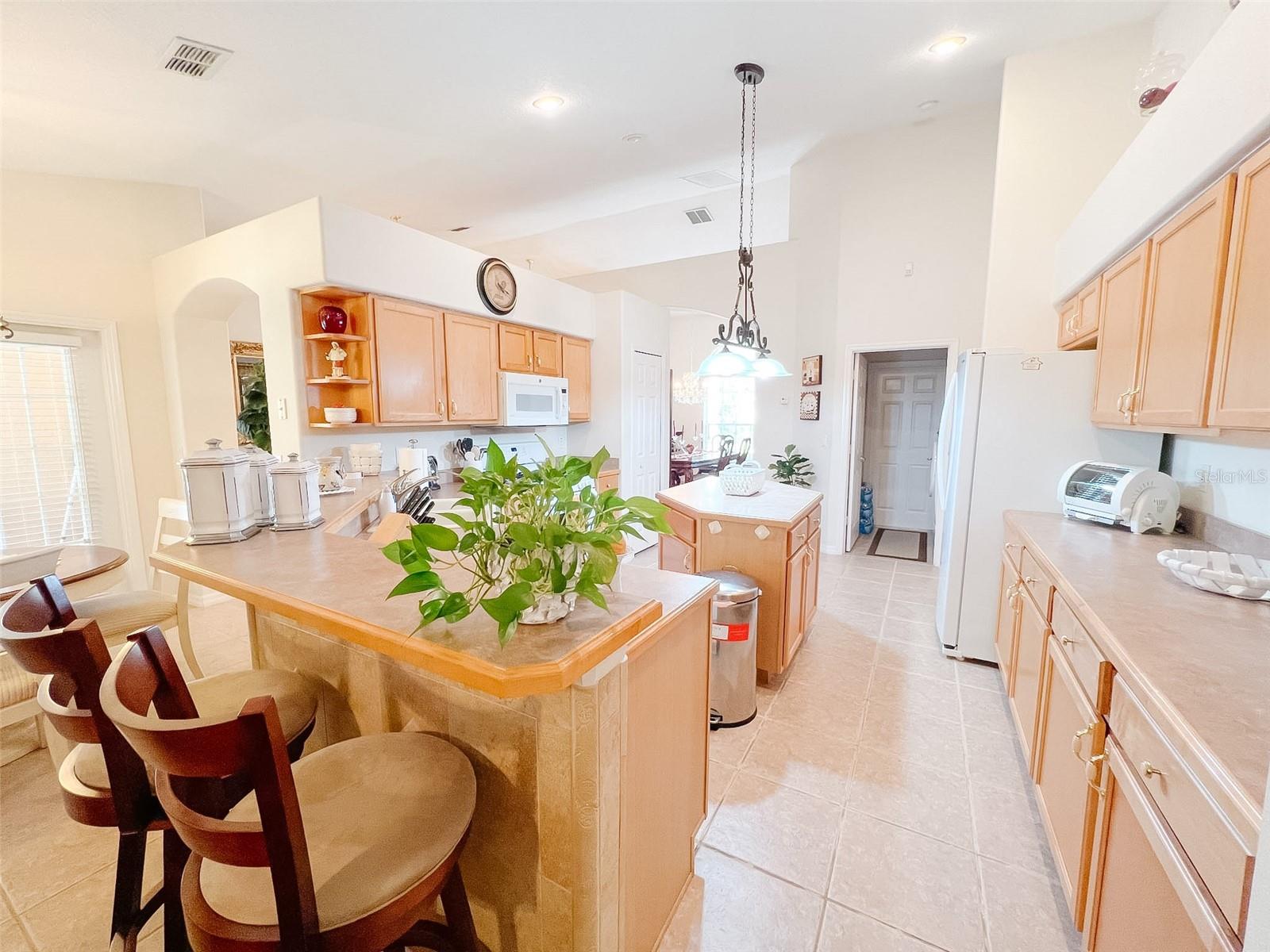 12626 DOUGLAS FIR CT, CLERMONT, FL, 34711