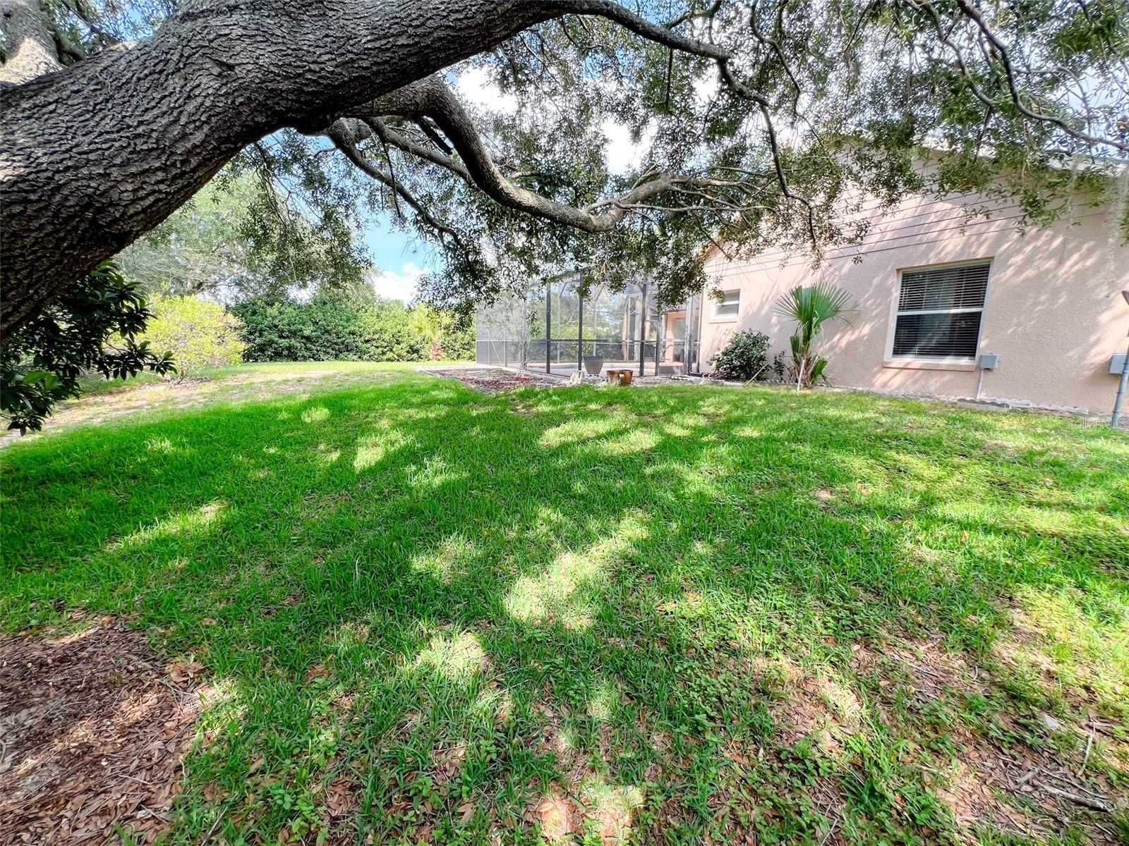 12626 DOUGLAS FIR CT, CLERMONT, FL, 34711