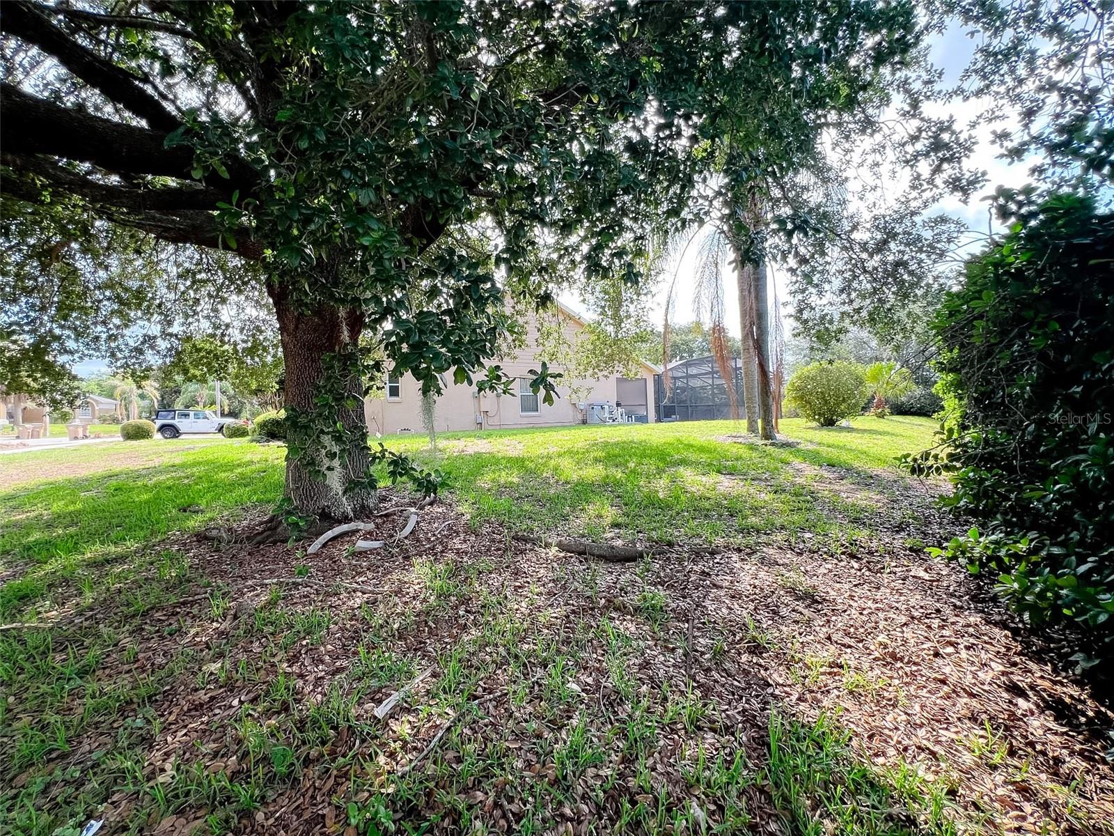 12626 DOUGLAS FIR CT, CLERMONT, FL, 34711