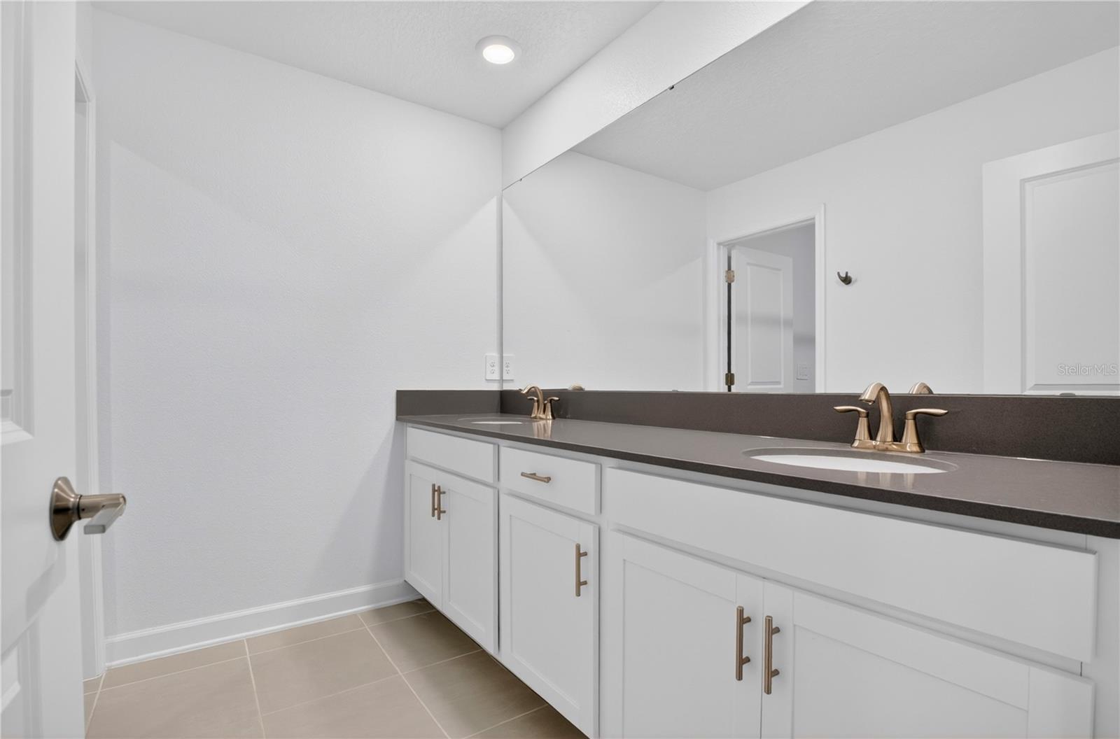 11785 LANGUAGE WAY, ORLANDO, FL, 32832