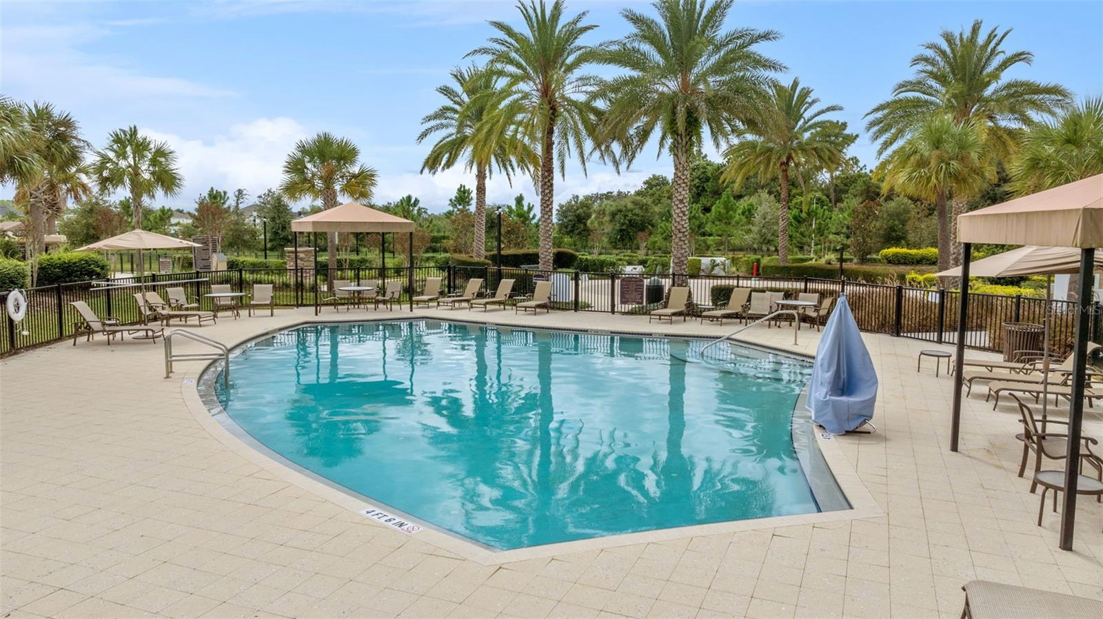 34315 RADLEY WAY, WESLEY CHAPEL, FL, 33545