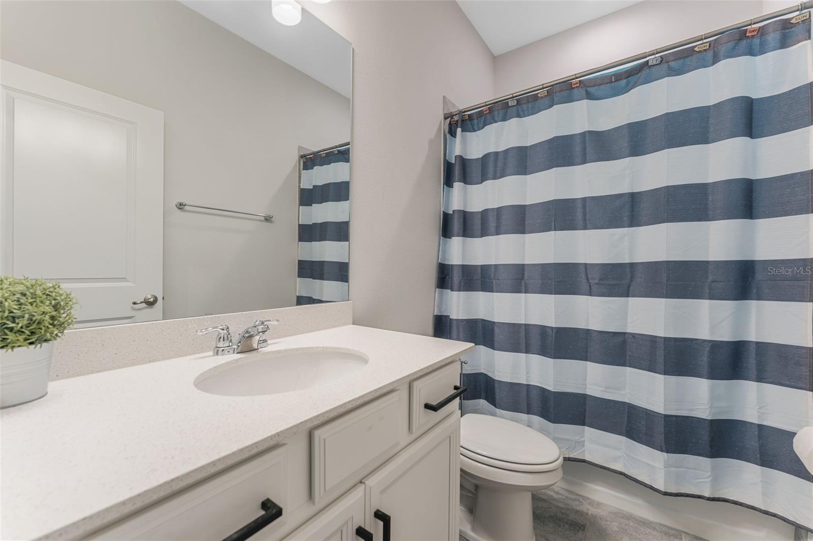 34315 RADLEY WAY, WESLEY CHAPEL, FL, 33545