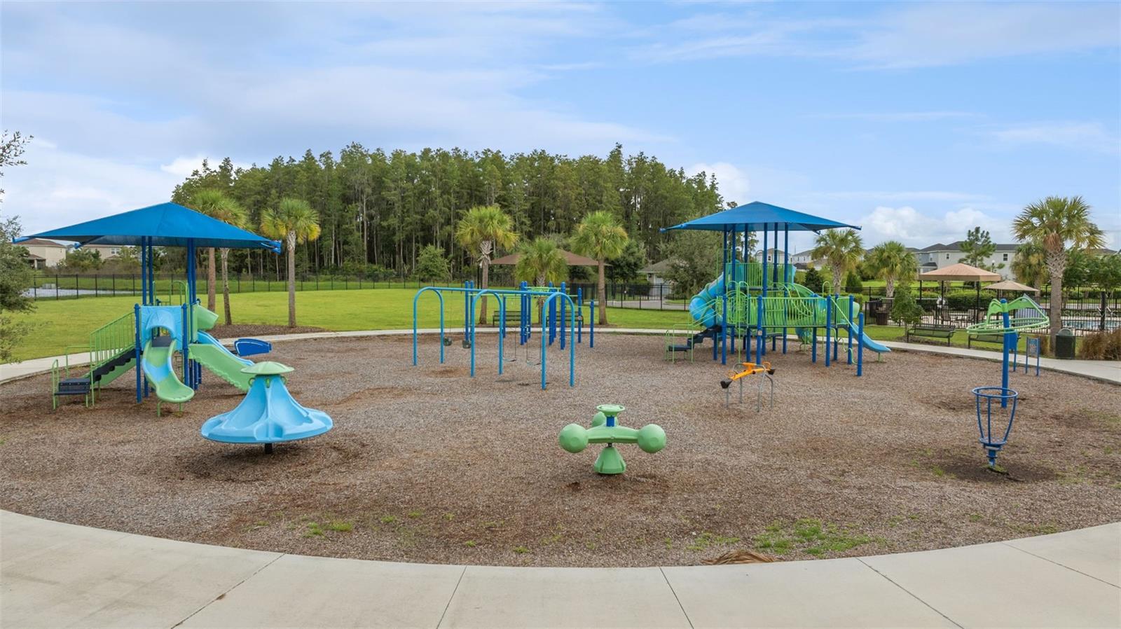 34315 RADLEY WAY, WESLEY CHAPEL, FL, 33545