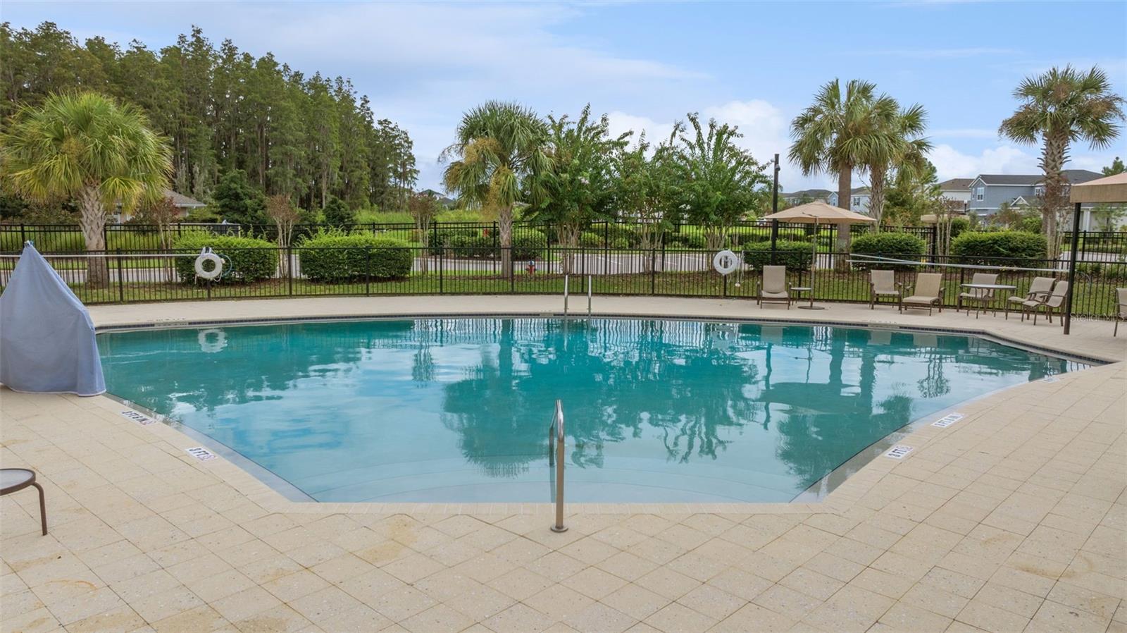 34315 RADLEY WAY, WESLEY CHAPEL, FL, 33545