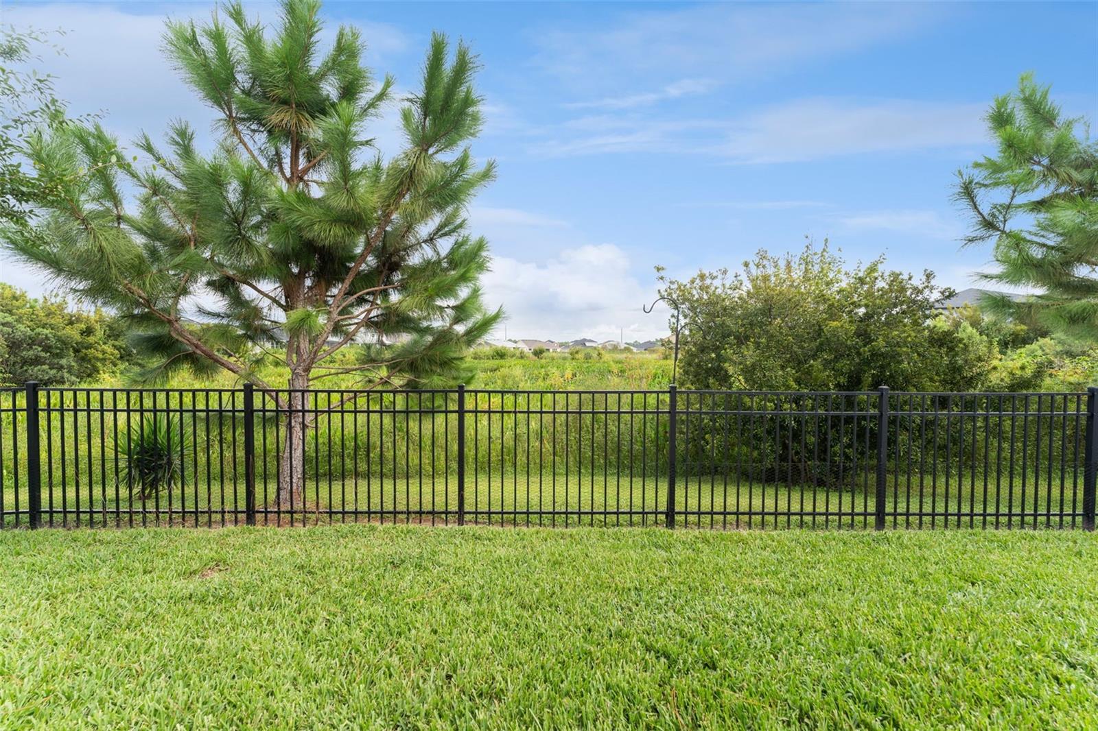 34315 RADLEY WAY, WESLEY CHAPEL, FL, 33545