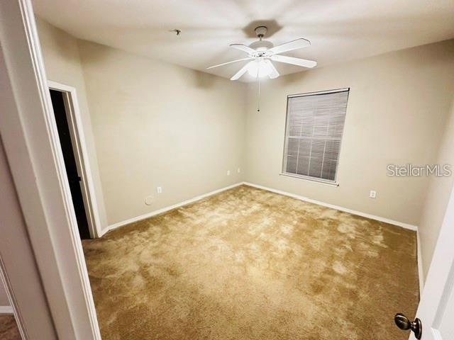 10106 COURTNEY OAKS CIR #104, TAMPA, FL, 33619
