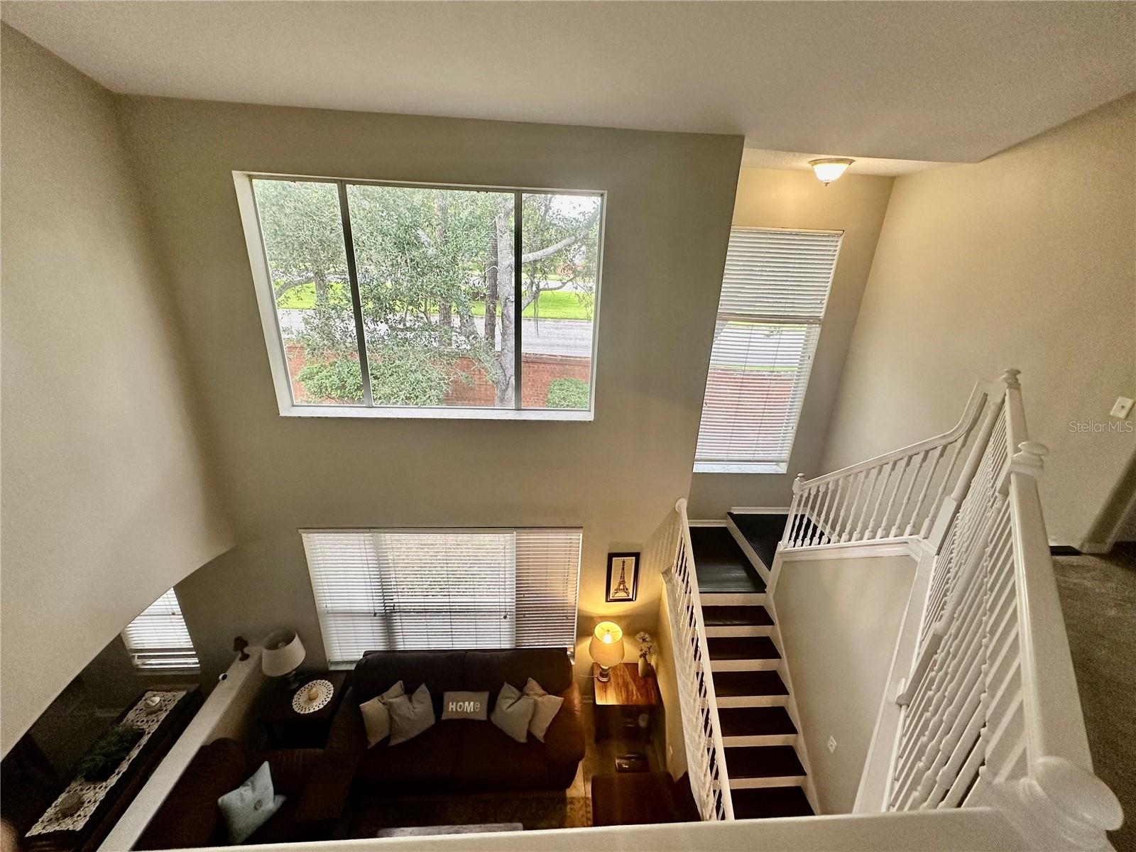 12014 DEACONS CROFT LN, TAMPA, FL, 33626