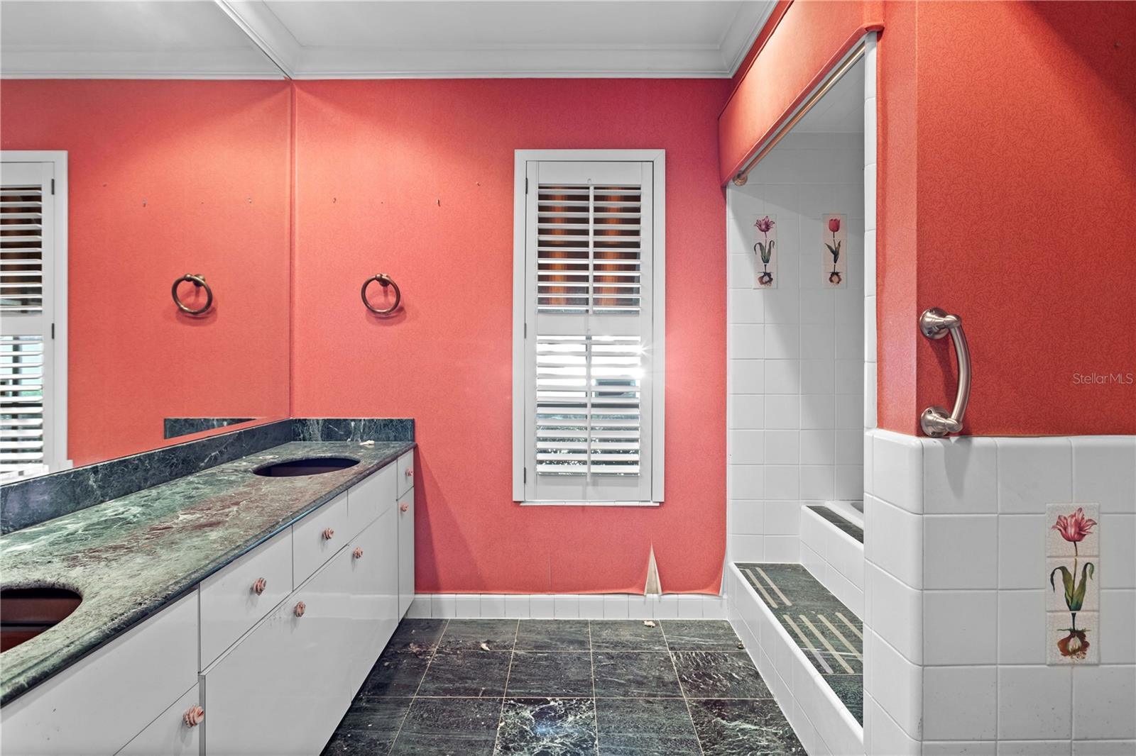 207 S SHERRILL ST, TAMPA, FL, 33609