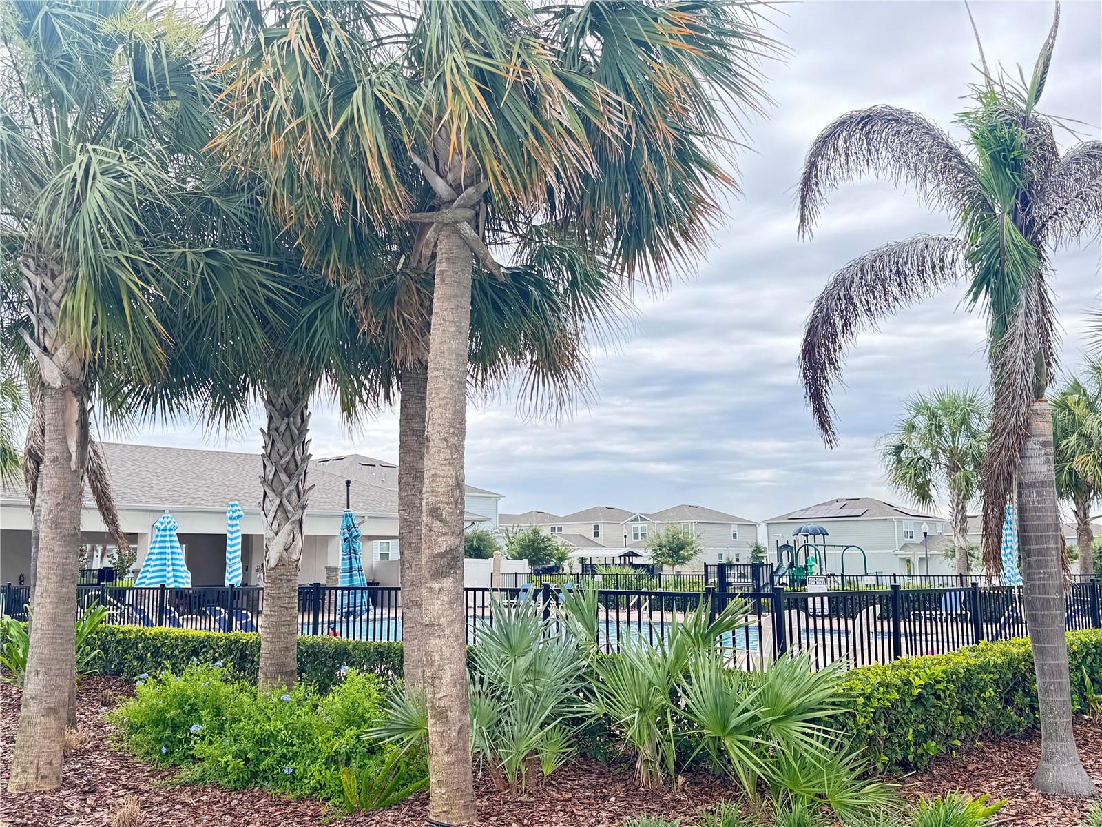 2003 ALLURING LN, DAVENPORT, FL, 33896