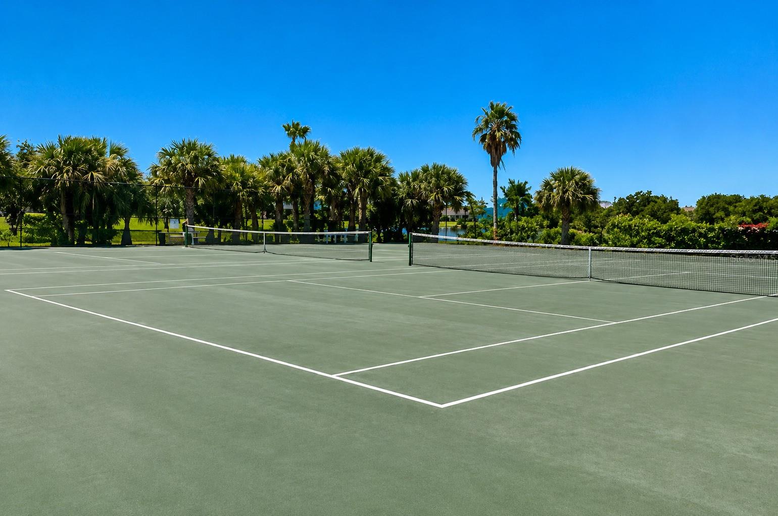9950 62ND TER N #315, ST PETERSBURG, FL, 33708