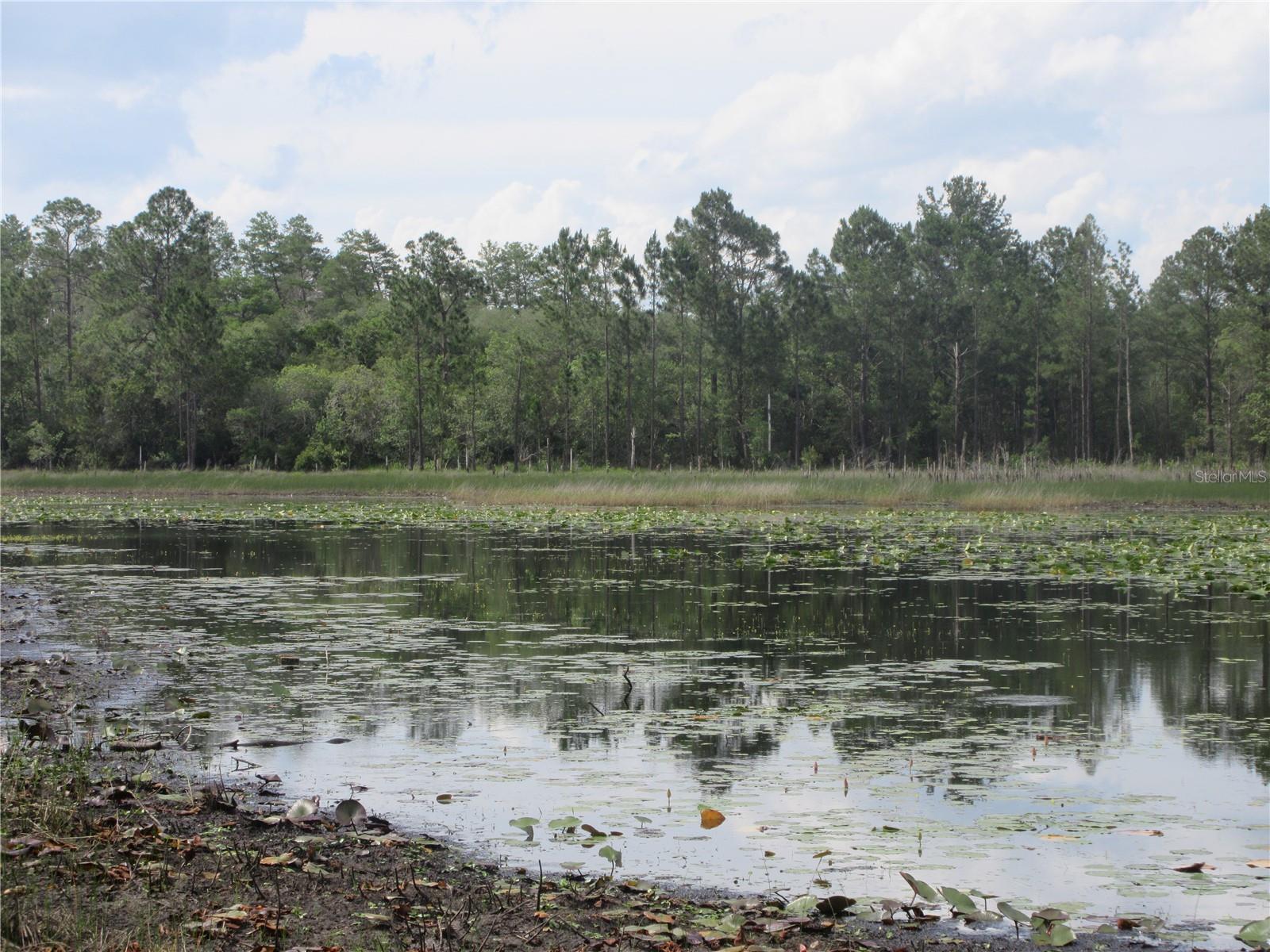 0 SE 10TH ST, SILVER SPRINGS, FL, 34488