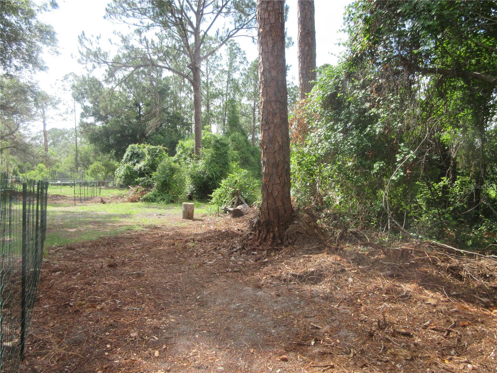 0 SE 10TH ST, SILVER SPRINGS, FL, 34488