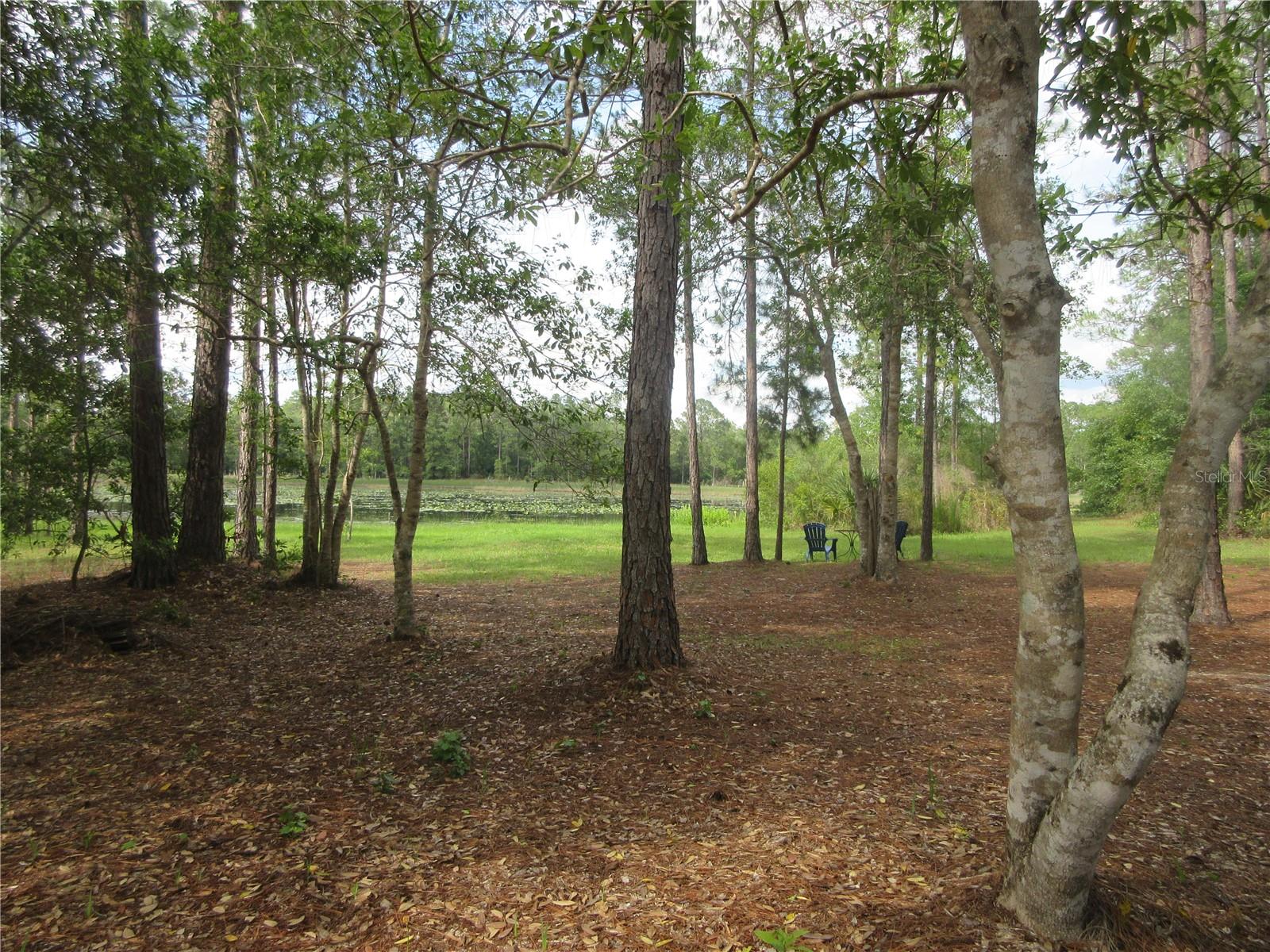 0 SE 10TH ST, SILVER SPRINGS, FL, 34488