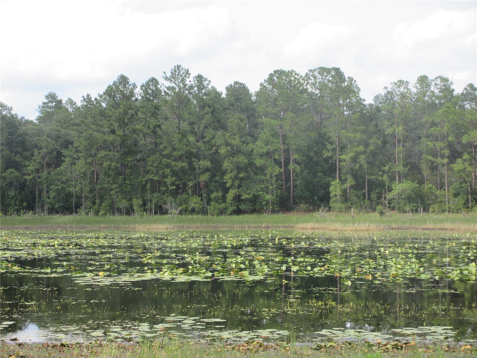 0 SE 10TH ST, SILVER SPRINGS, FL, 34488