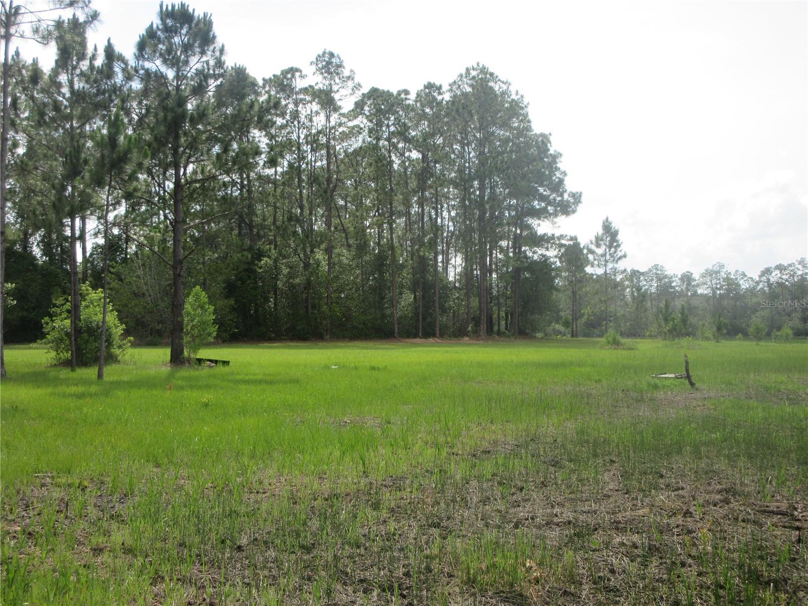 0 SE 10TH ST, SILVER SPRINGS, FL, 34488