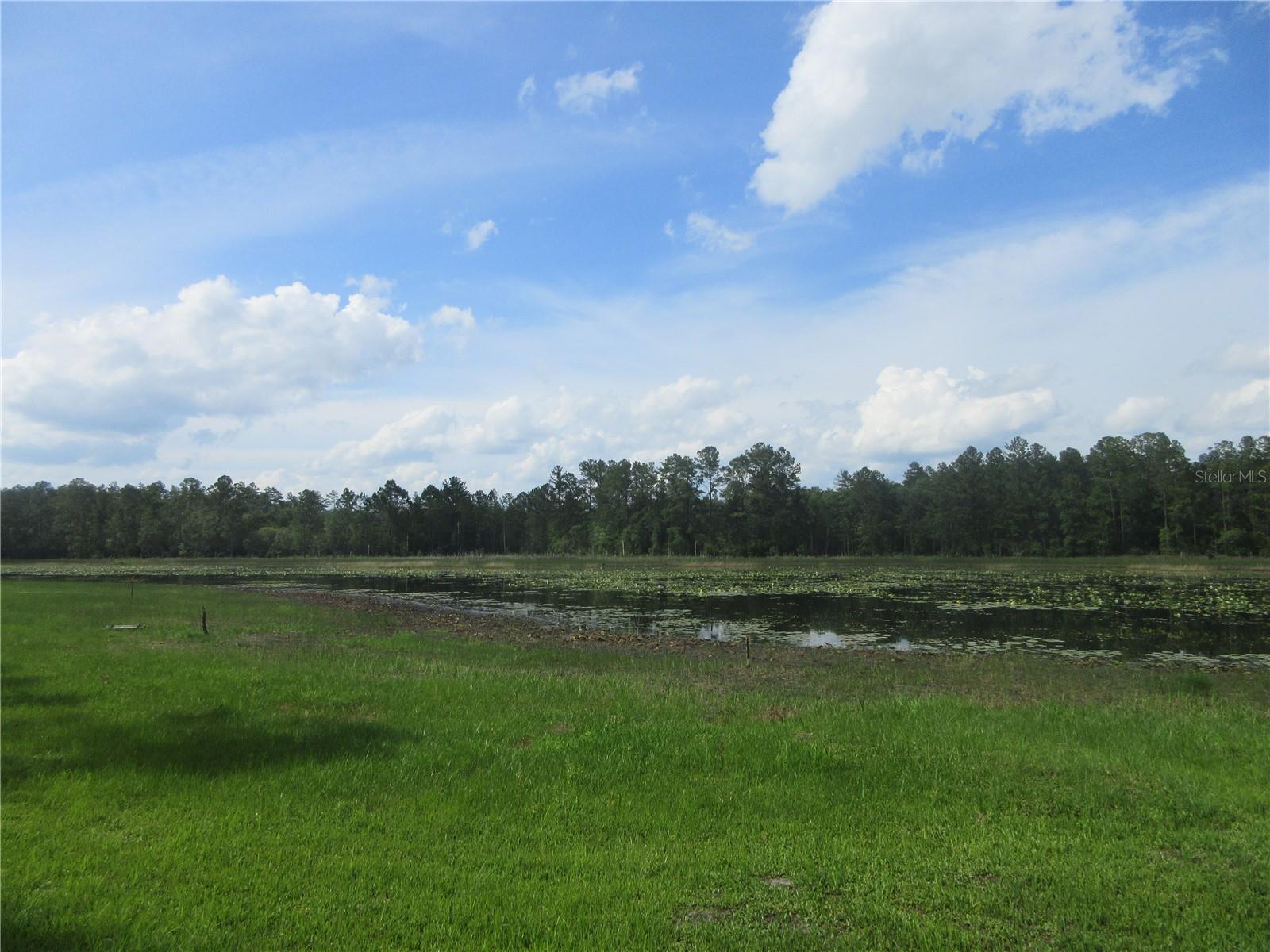 0 SE 10TH ST, SILVER SPRINGS, FL, 34488