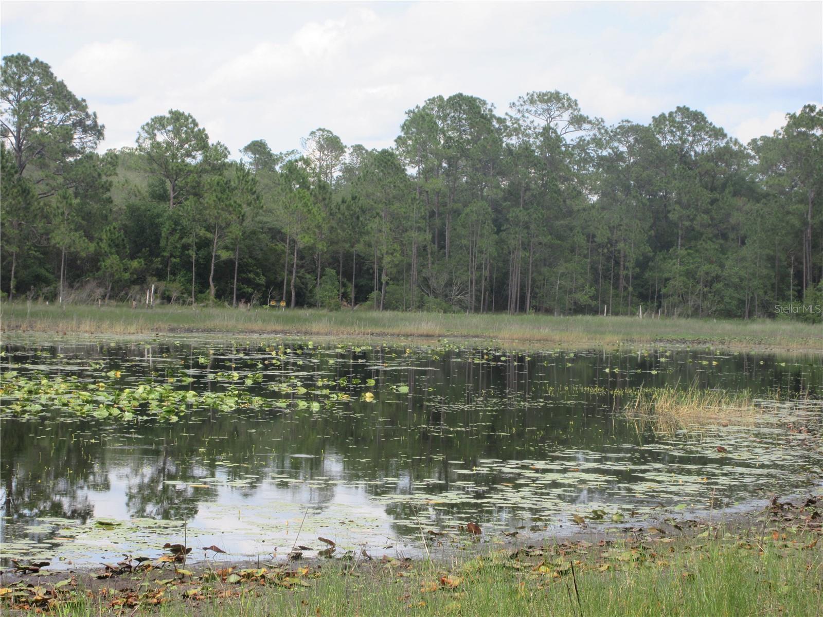 0 SE 10TH ST, SILVER SPRINGS, FL, 34488